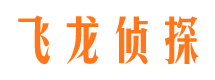 头屯河市调查公司